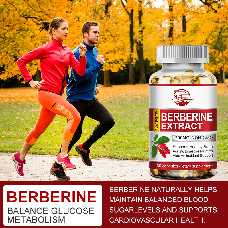 Berberine HCL 1200mg Cholesterol Blood Sugar Health General Wellness 10/60/120PC
