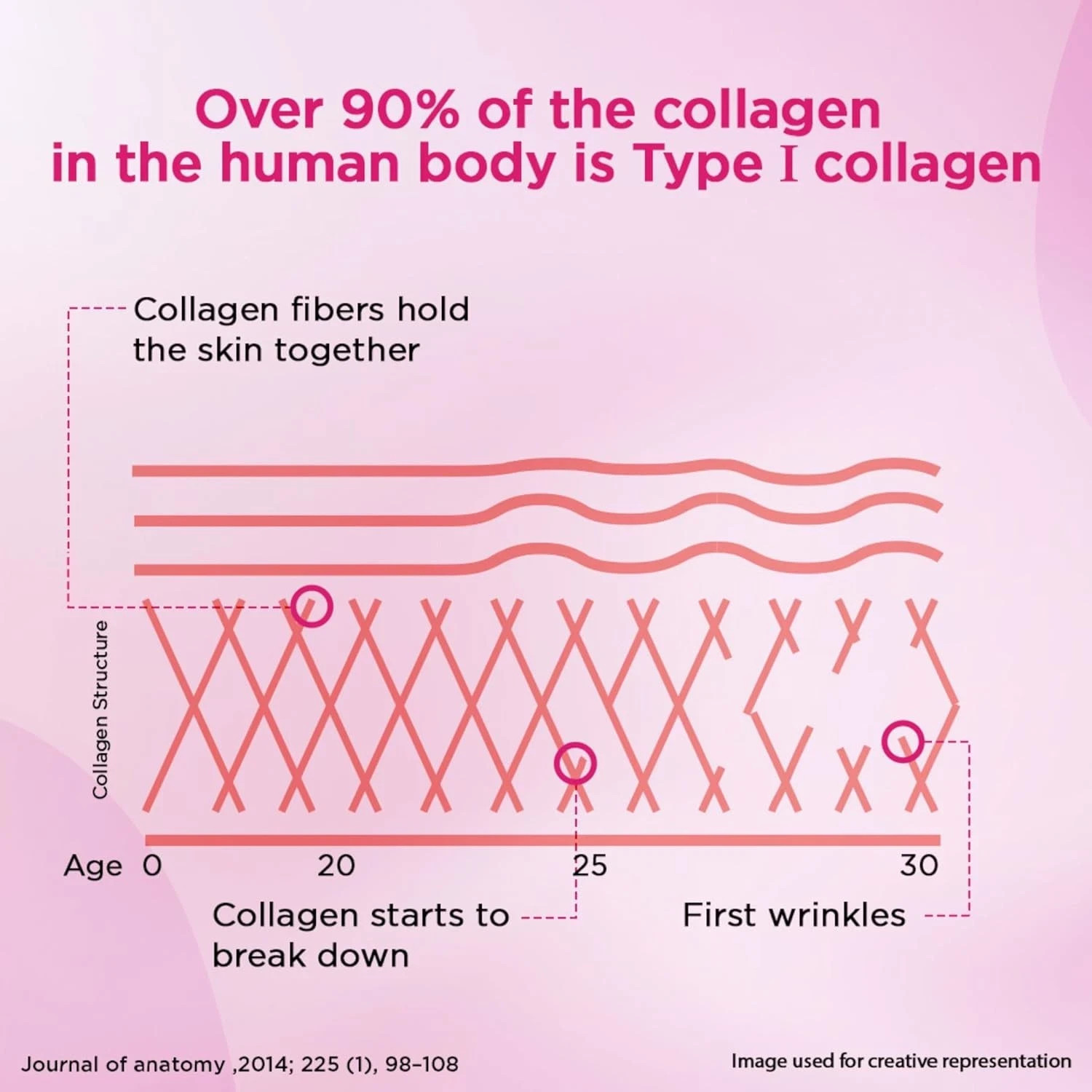 Siens By Dabur Hydrolyzed Marine Collagen-100g | Made with Japanese technology