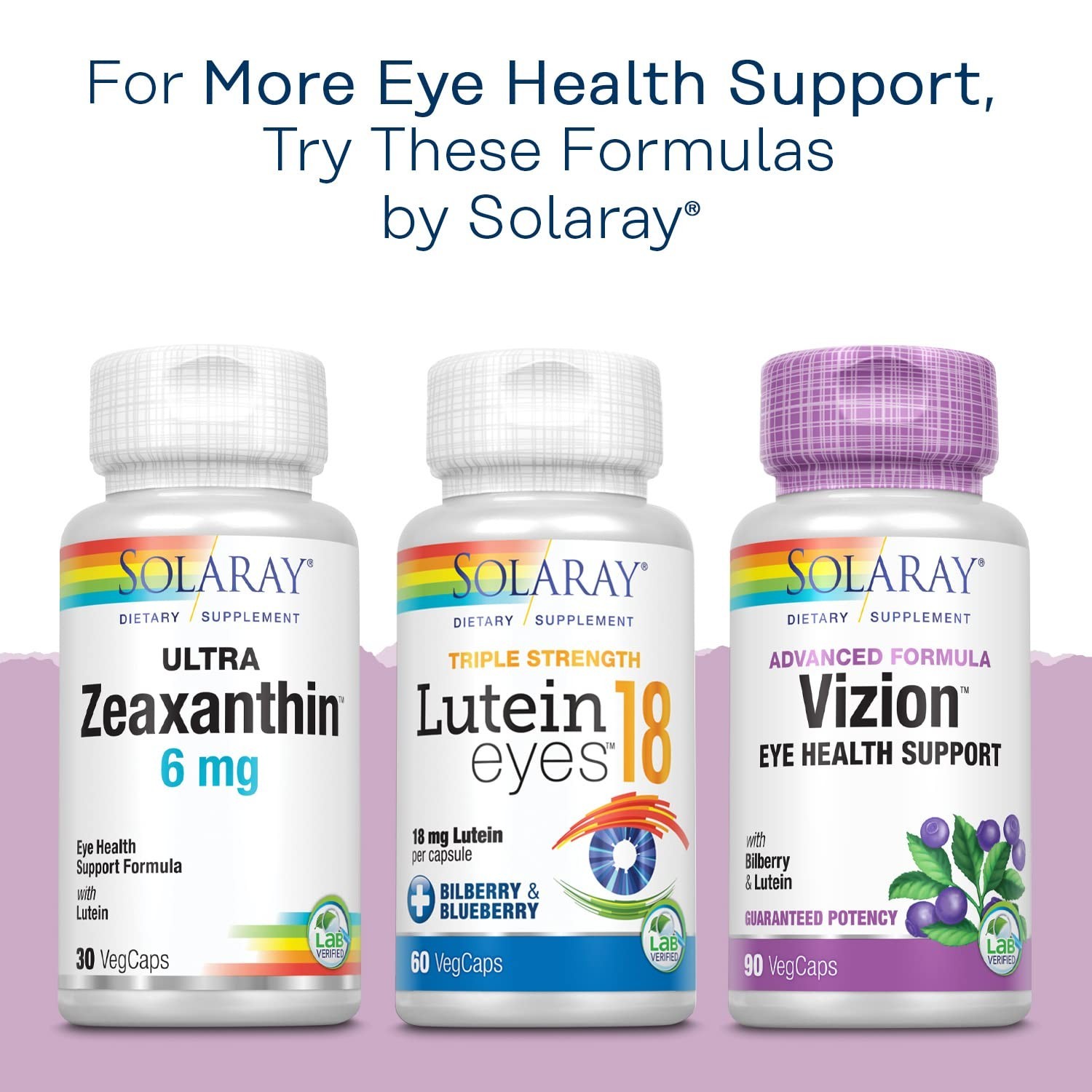 Bilberry Extract 42mg – Eye Health & Circulation Support, 36% Anthocyanosides, V