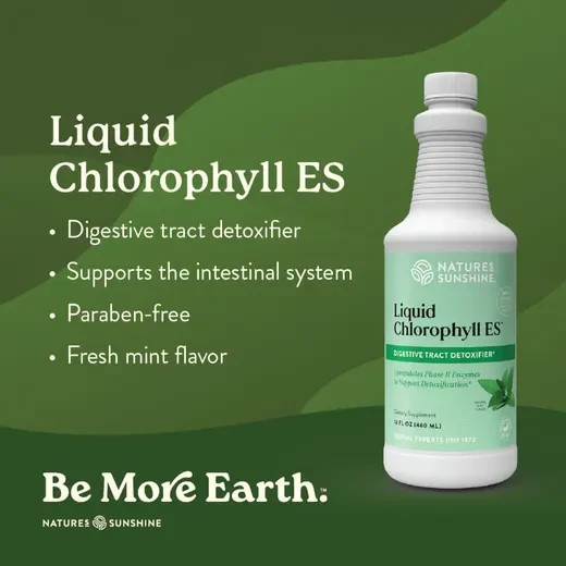 Natures Sunshine Liquid Chlorophyll ES 16oz Extra Strength Mint Formula