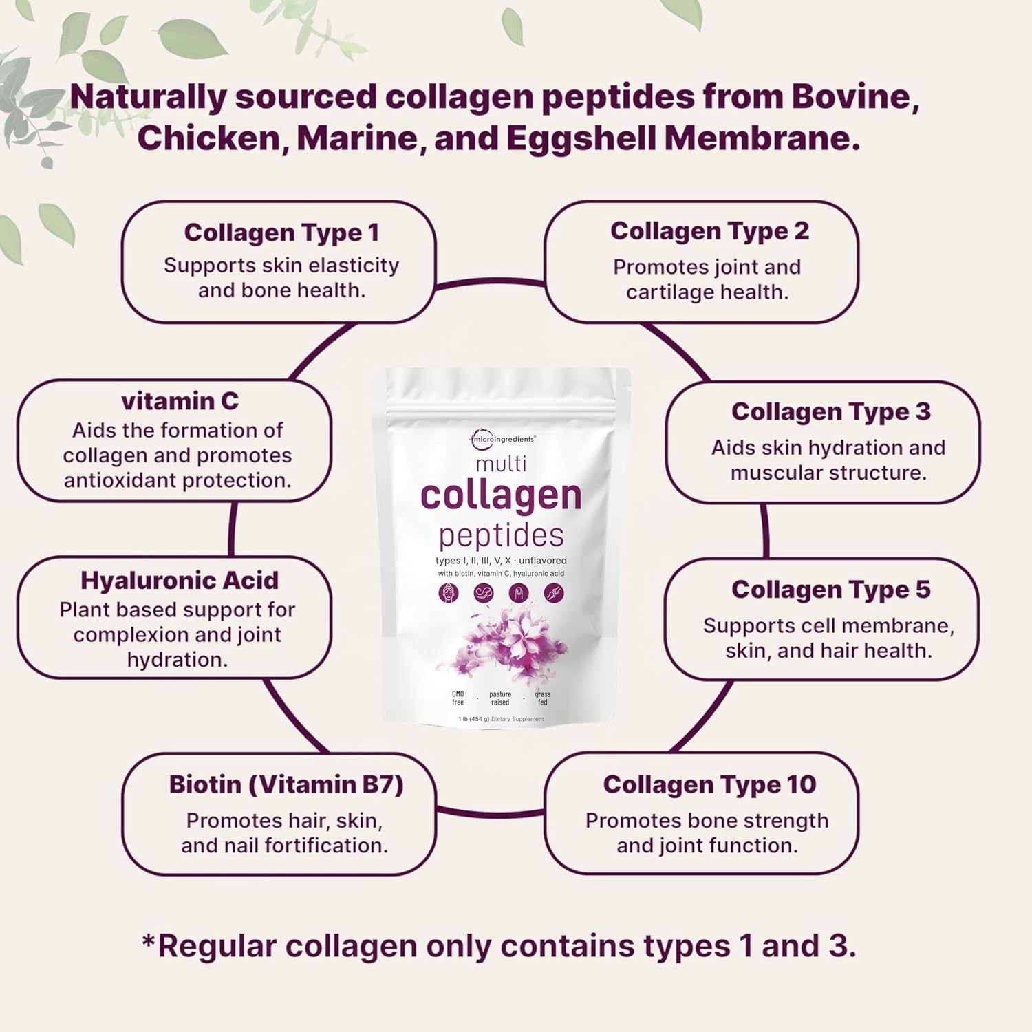 Micro Ingredients Multi Collagen Complex I II III V X Biotin Vitamin C Powder