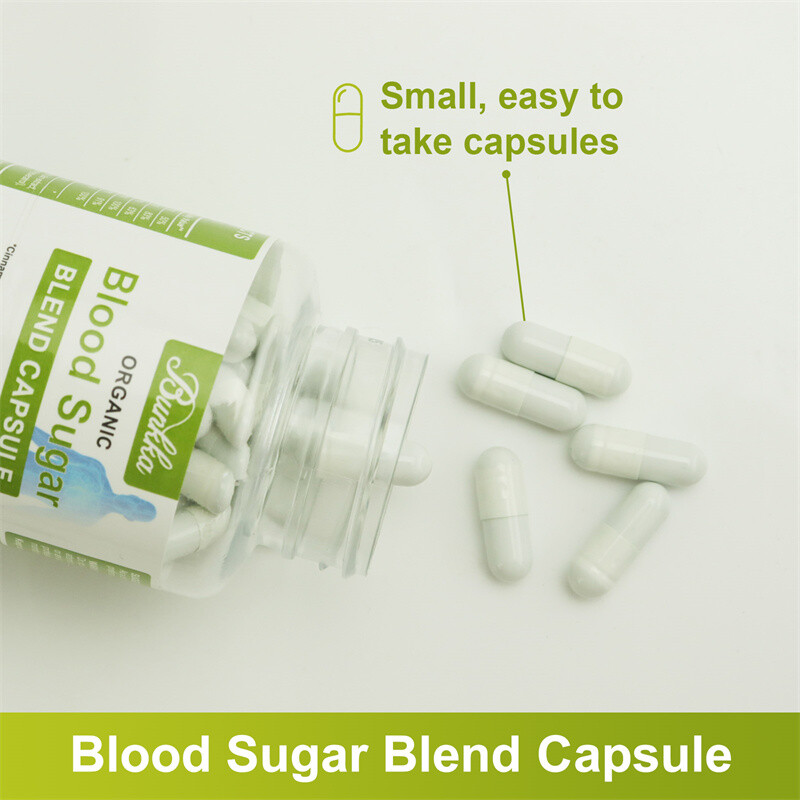 120pcs Blood Sugar Support Glucose Support Alpha Lipoic Acid Cinnamon Magnesium
