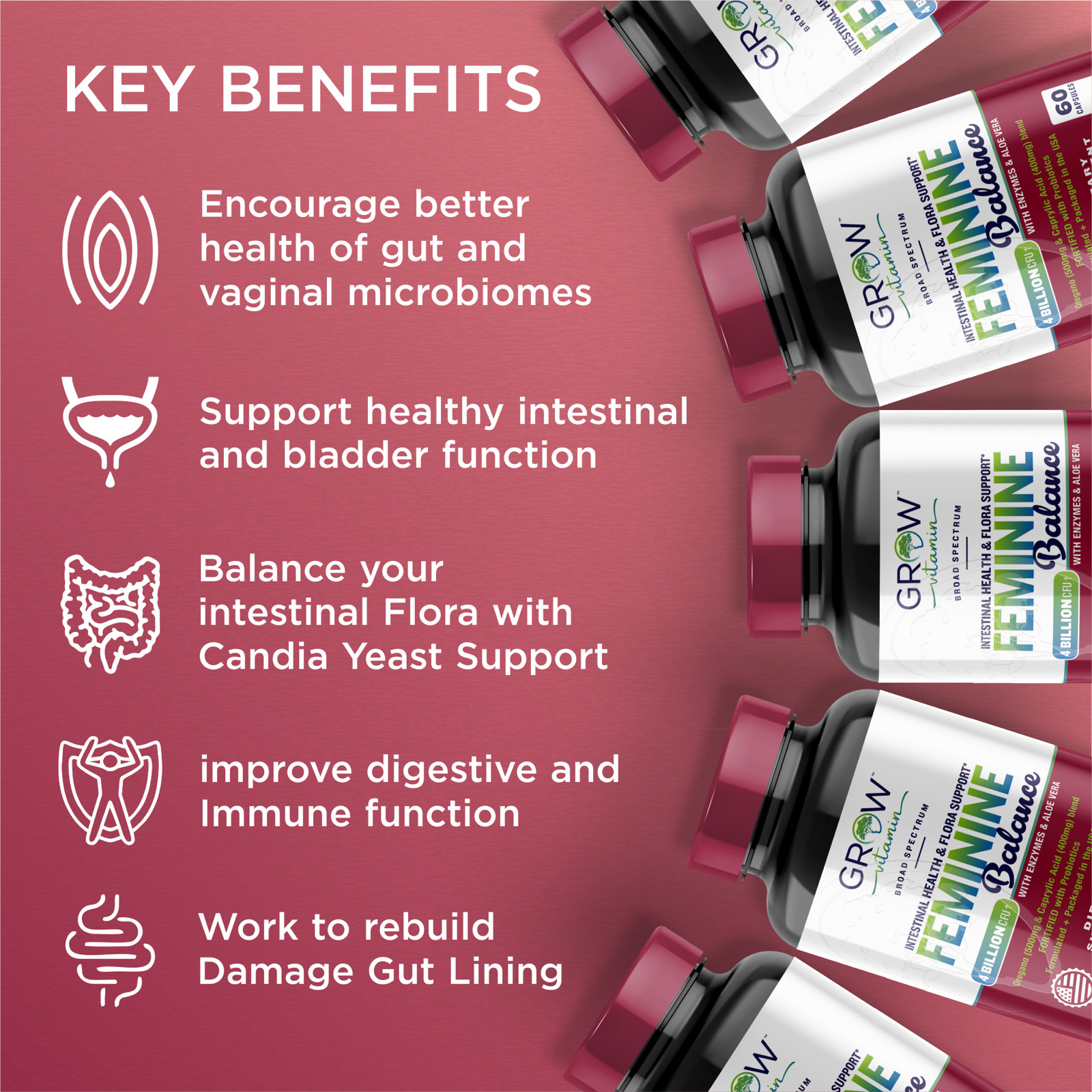 Balance Complex Vaginal Health Probiotics for Women Supplement NEW, 60 Capsules