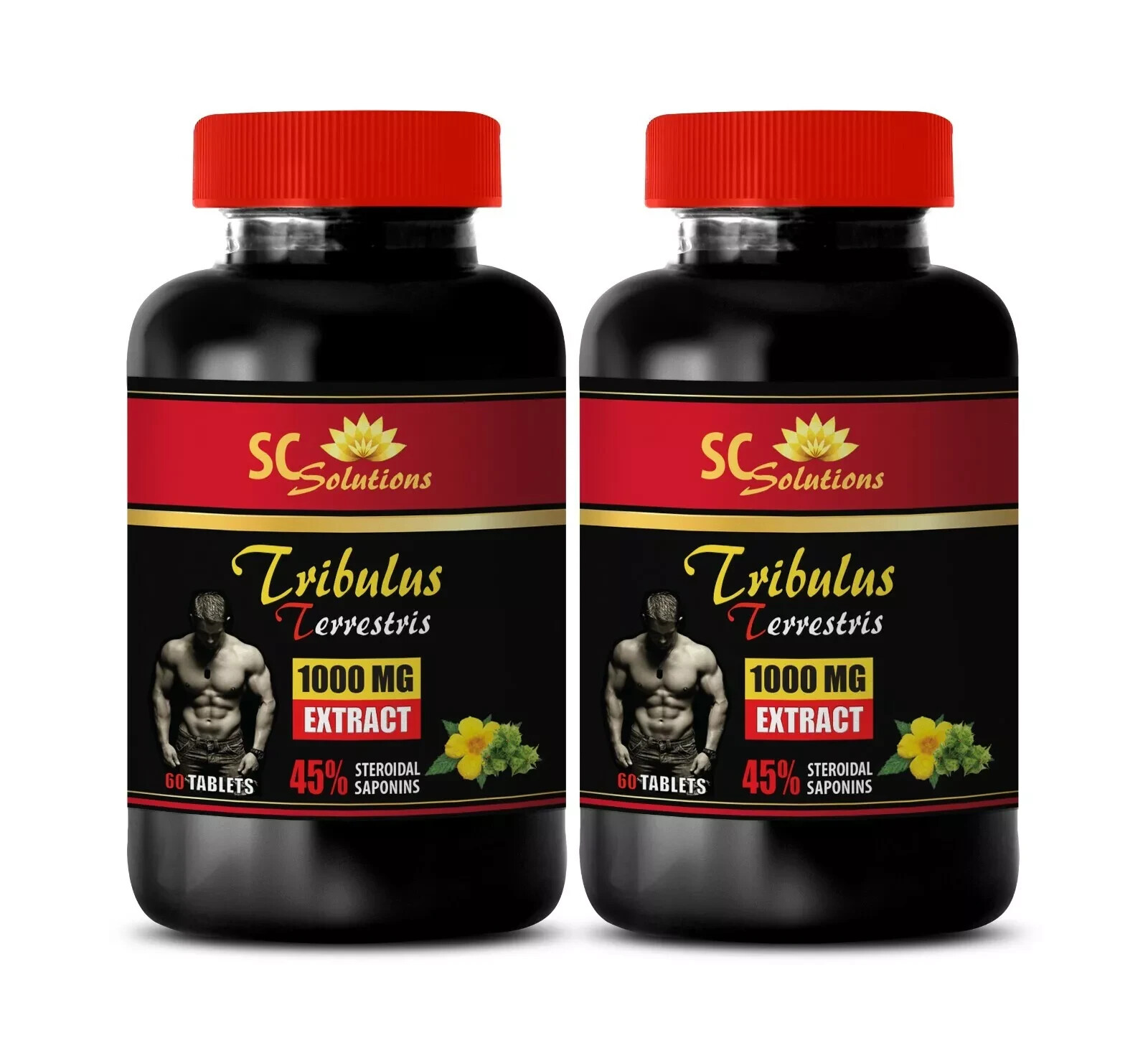 Daily energy balance – TRIBULUS TERRESTRIS EXTRACT – Mental focus booster 2B