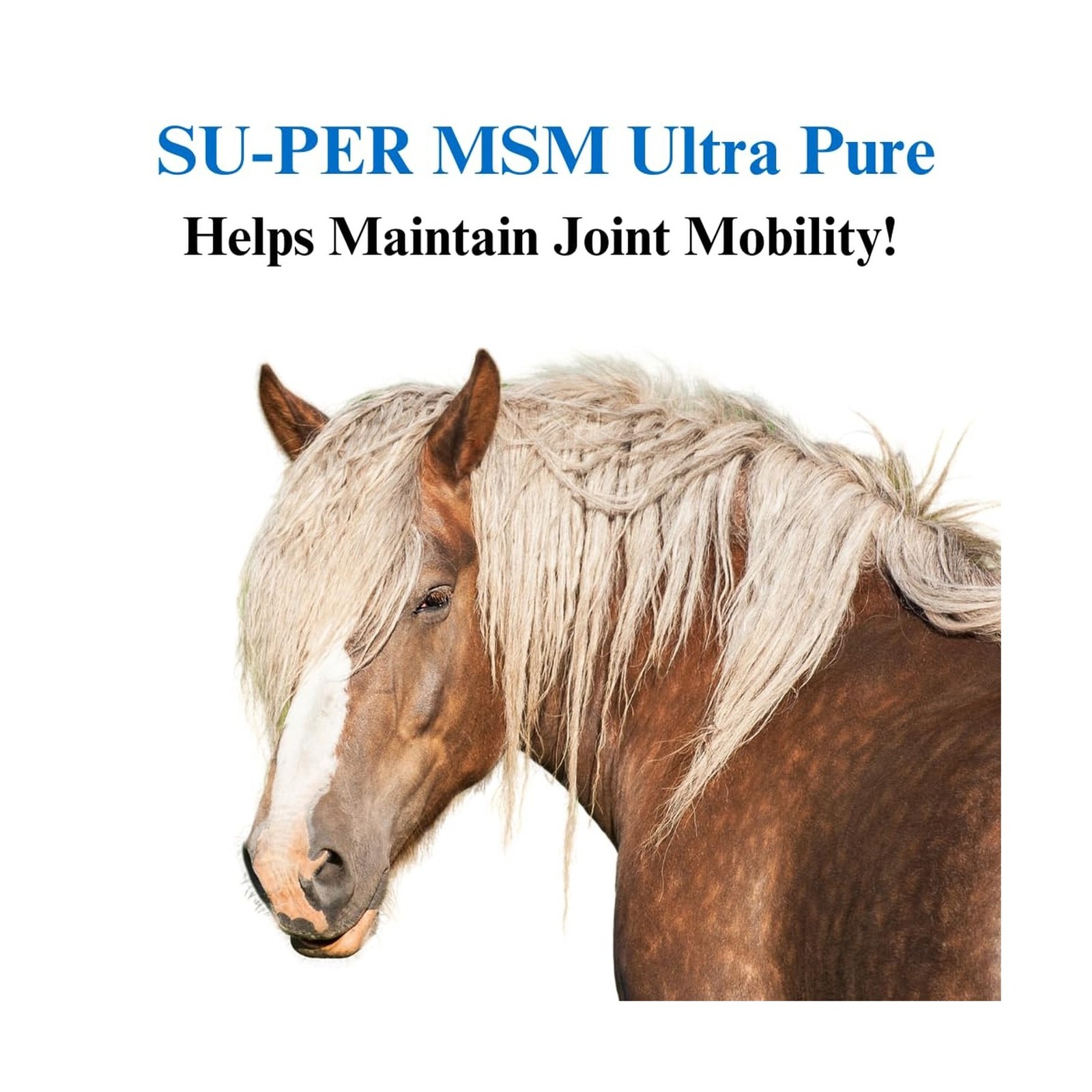 SU-PER MSM Ultra Pure Horse Joint Supplement – Helps Maintain Joint Mobility …