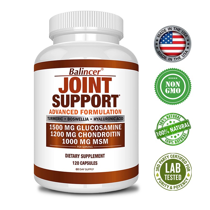Glucosamine Chondroitin Turmeric MSM Bone Joint Flexibility Mobility 120 Capsule