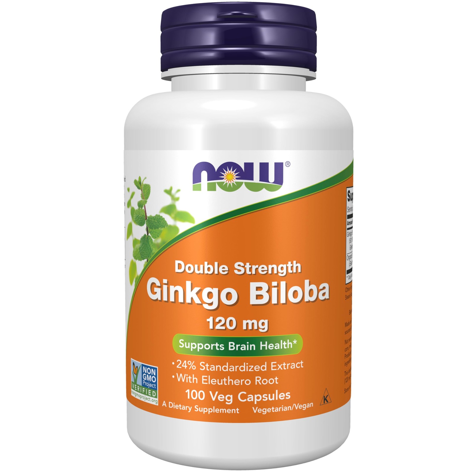 Ginkgo Biloba 120 mg, Double Strength, Non-GMO Project Verified, 100 Veg Caps