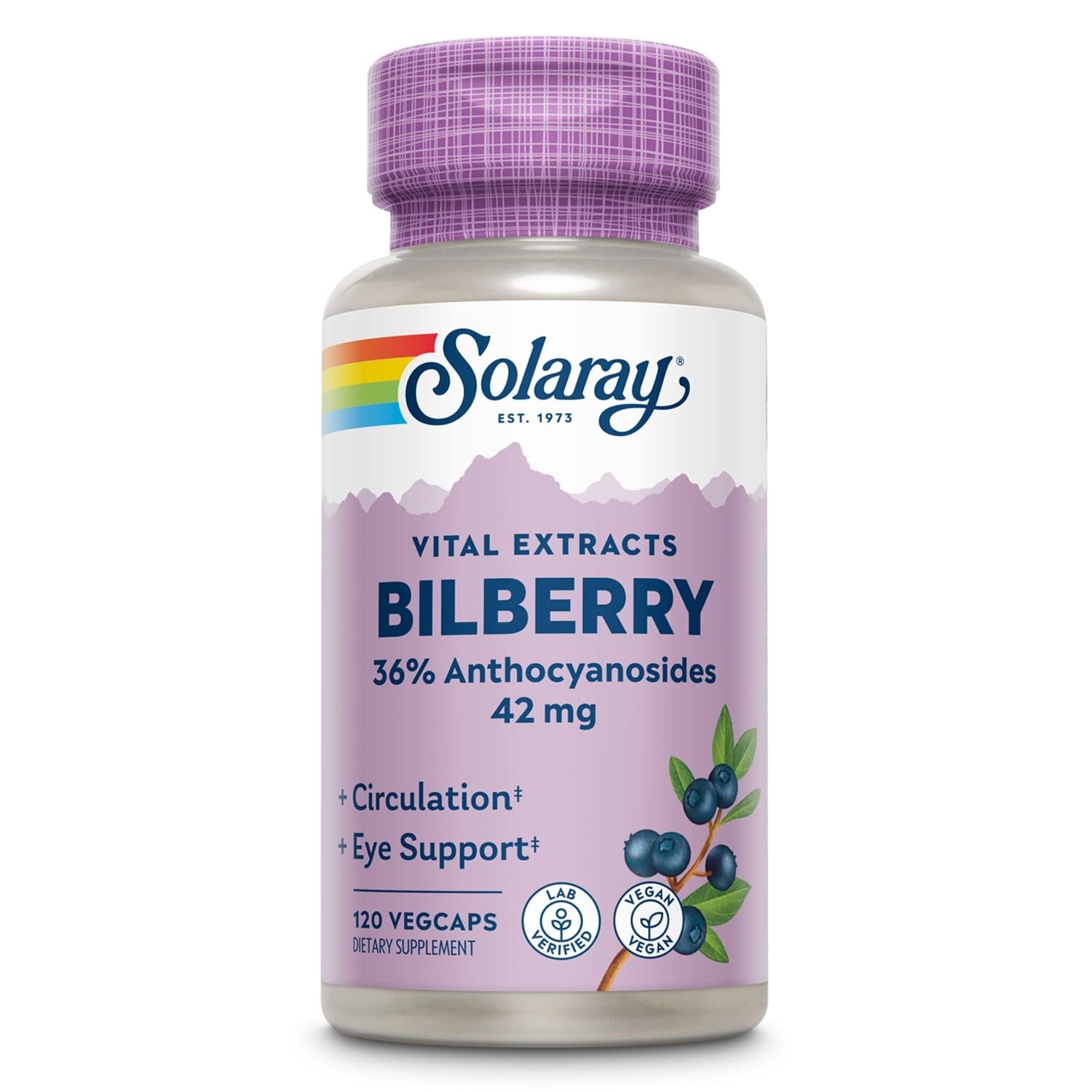 Bilberry Extract 42mg – Eye Health & Circulation Support, 36% Anthocyanosides, V