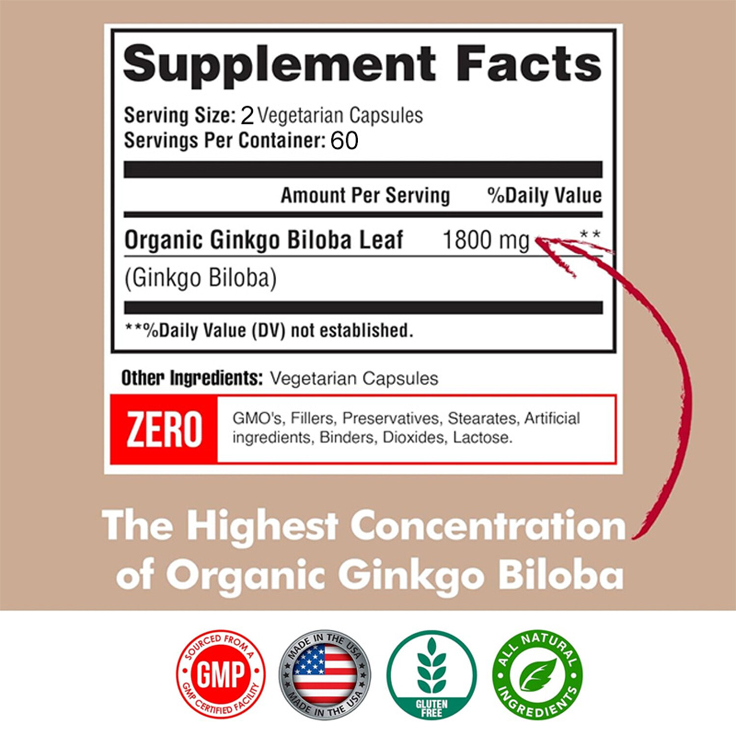 Ginkgo Biloba 1800mg – Cognitive & Memory Support, Support Memory & Brain Health