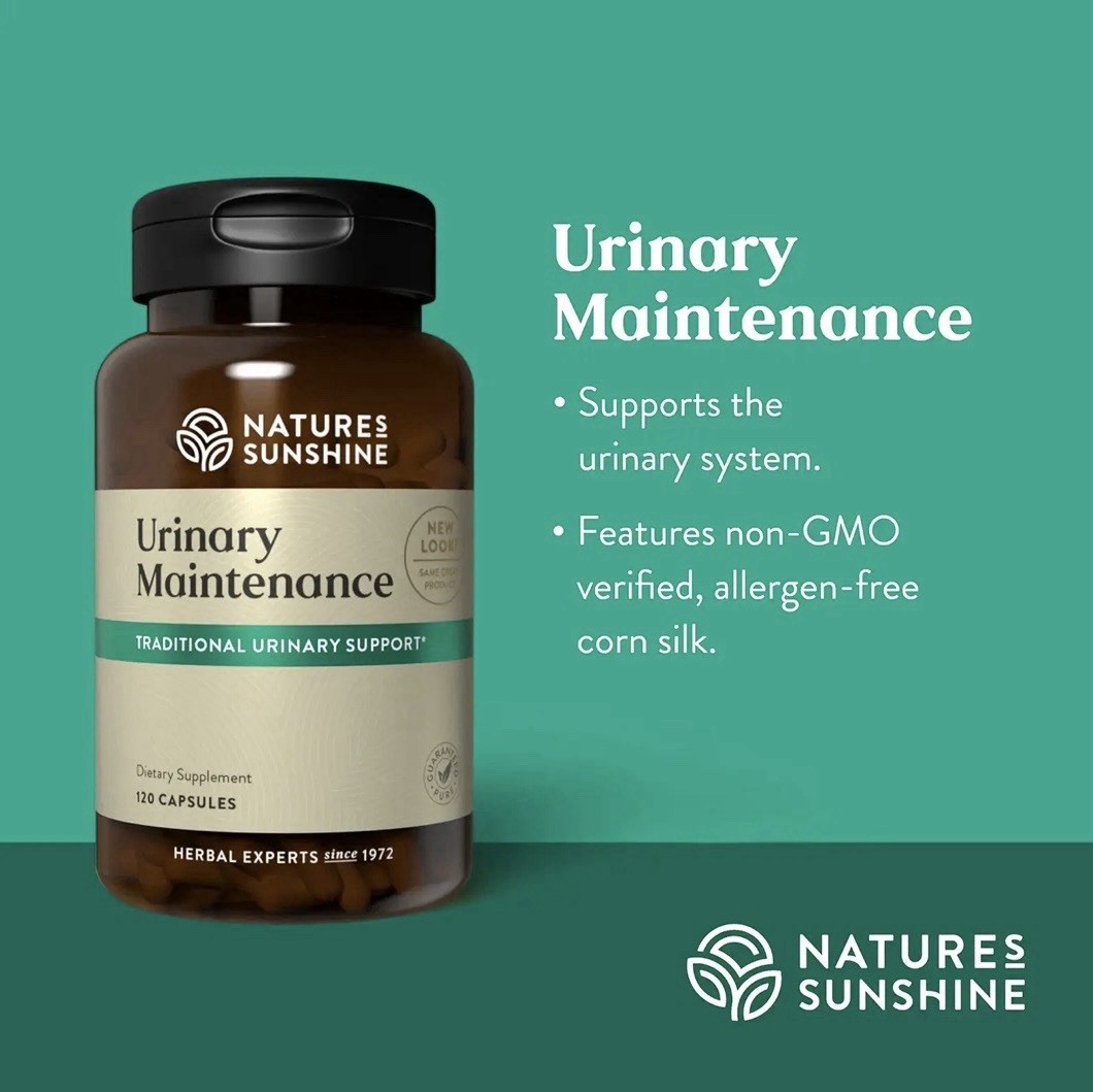 Nature’s Sunshine Urinary Maintenance, 120 Capsules | Urinary Support