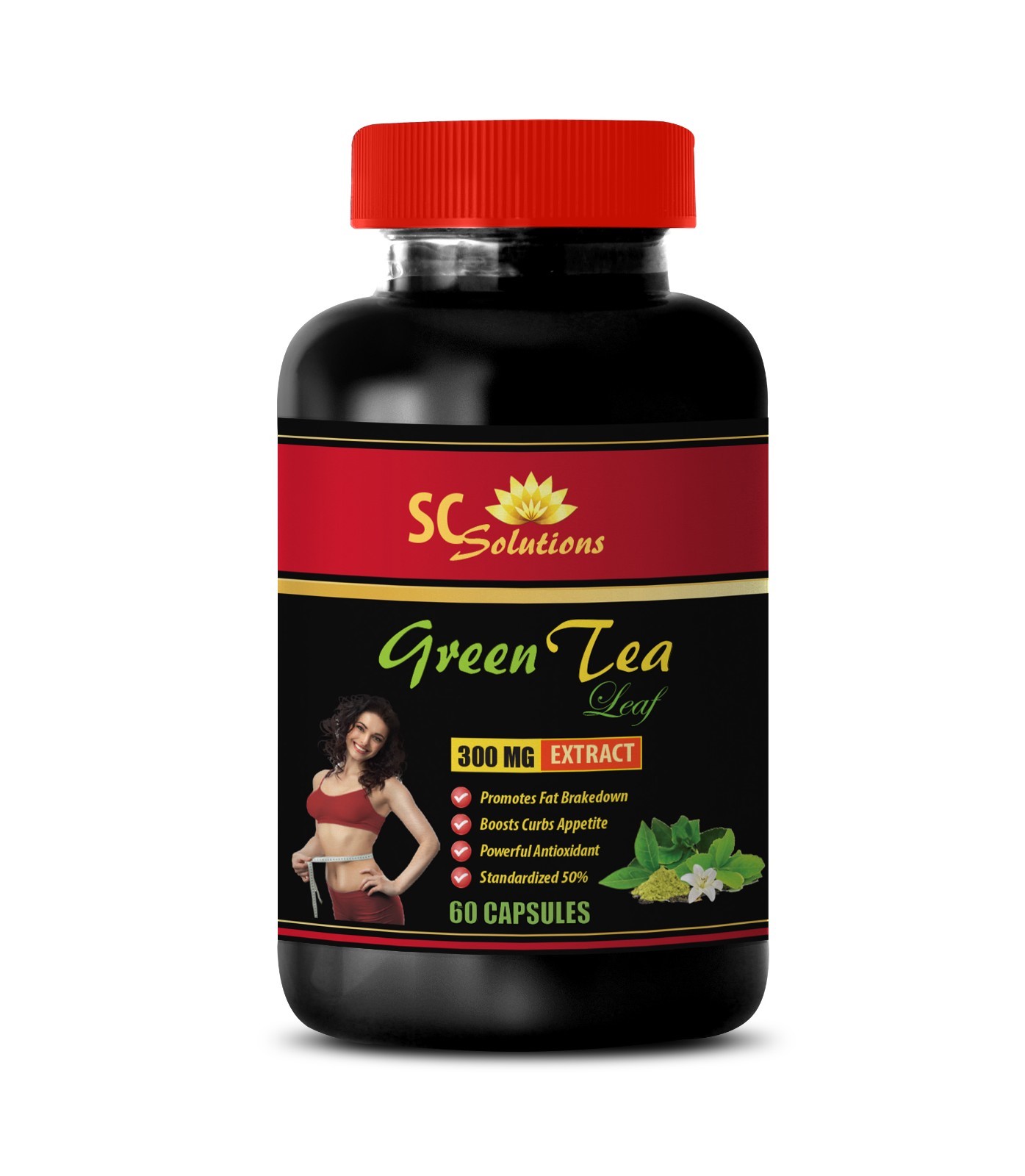 antioxidant network supplement – GREEN TEA EXTRACT – green tea extract tablets 1