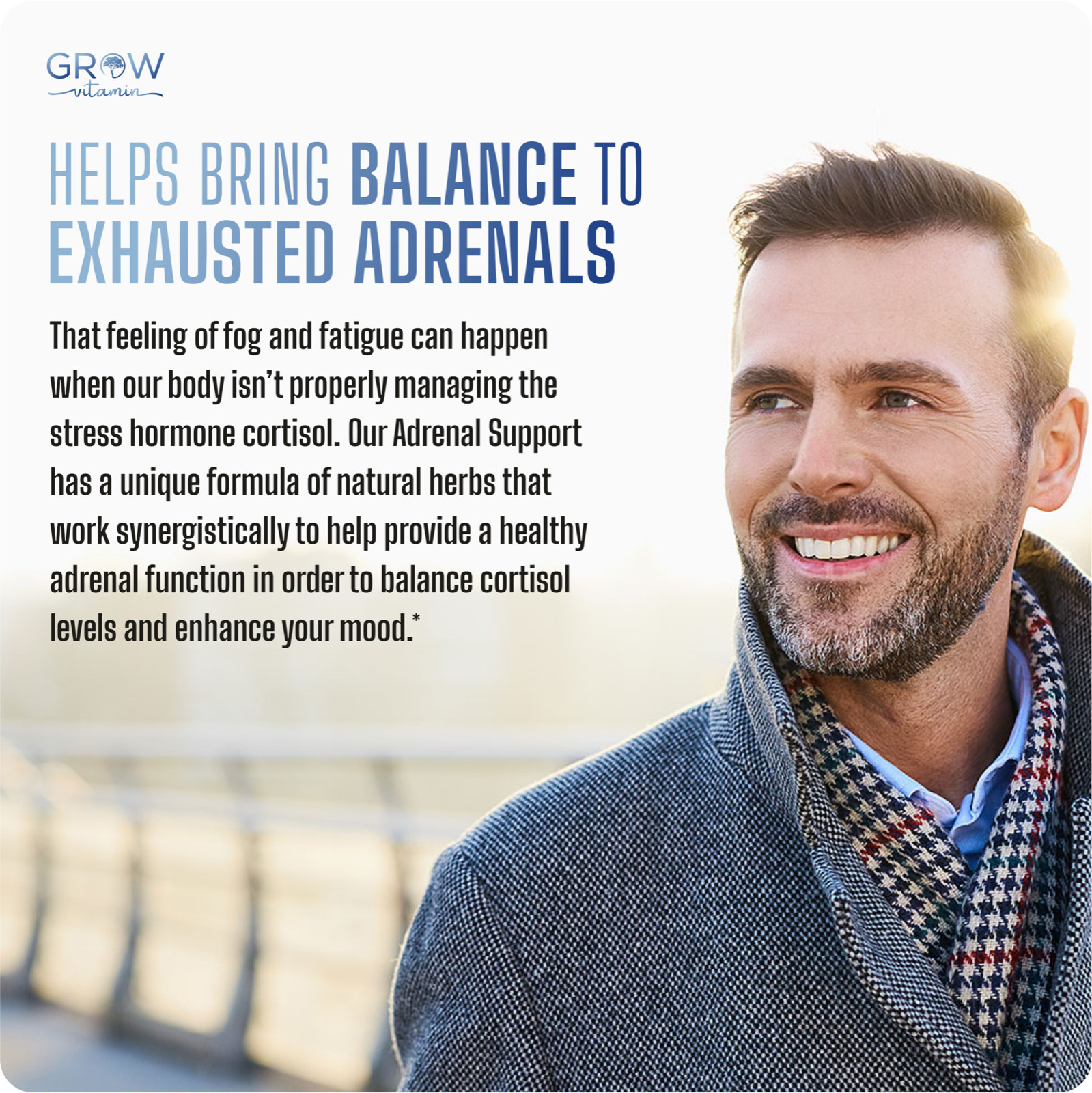 Adrenal Support Reduce Stress & Anxiety Relief Mood Support More Focus & Relaxed