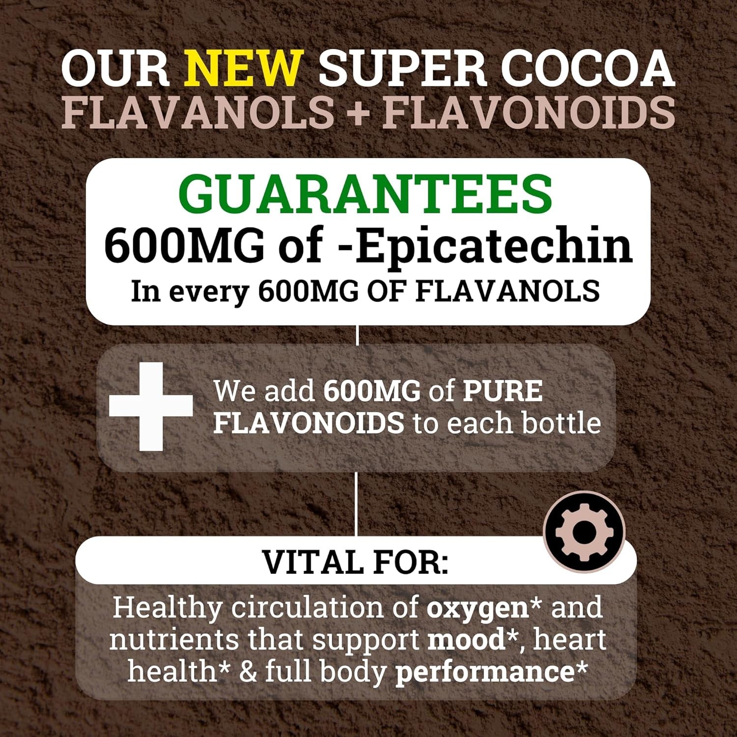 3 PACK! Black Forest High Flavanol Cocoa Powder and Flavonoid Supplements 1200mg