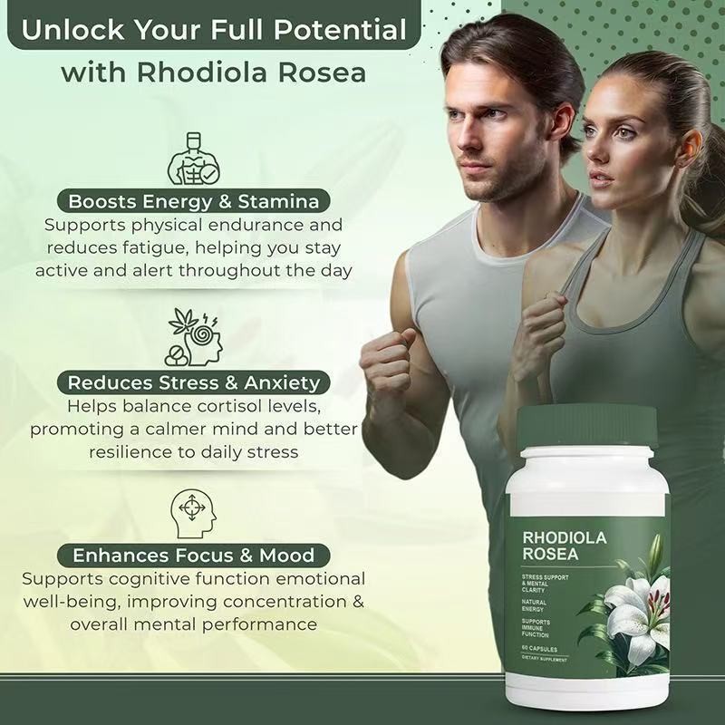 1-PCS Rhodiola Rosea Capsules – Floraviva for Energy, Focus, Mood
