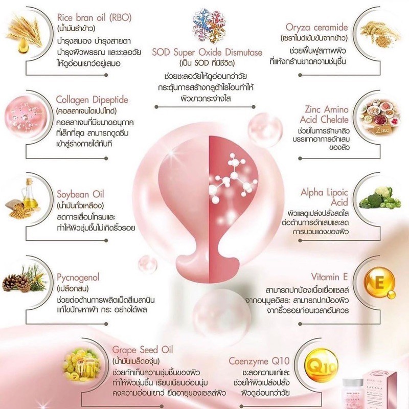 Rose Gold Limited Edition Sakana Collagen x10 Anti Aging Heathy Skin