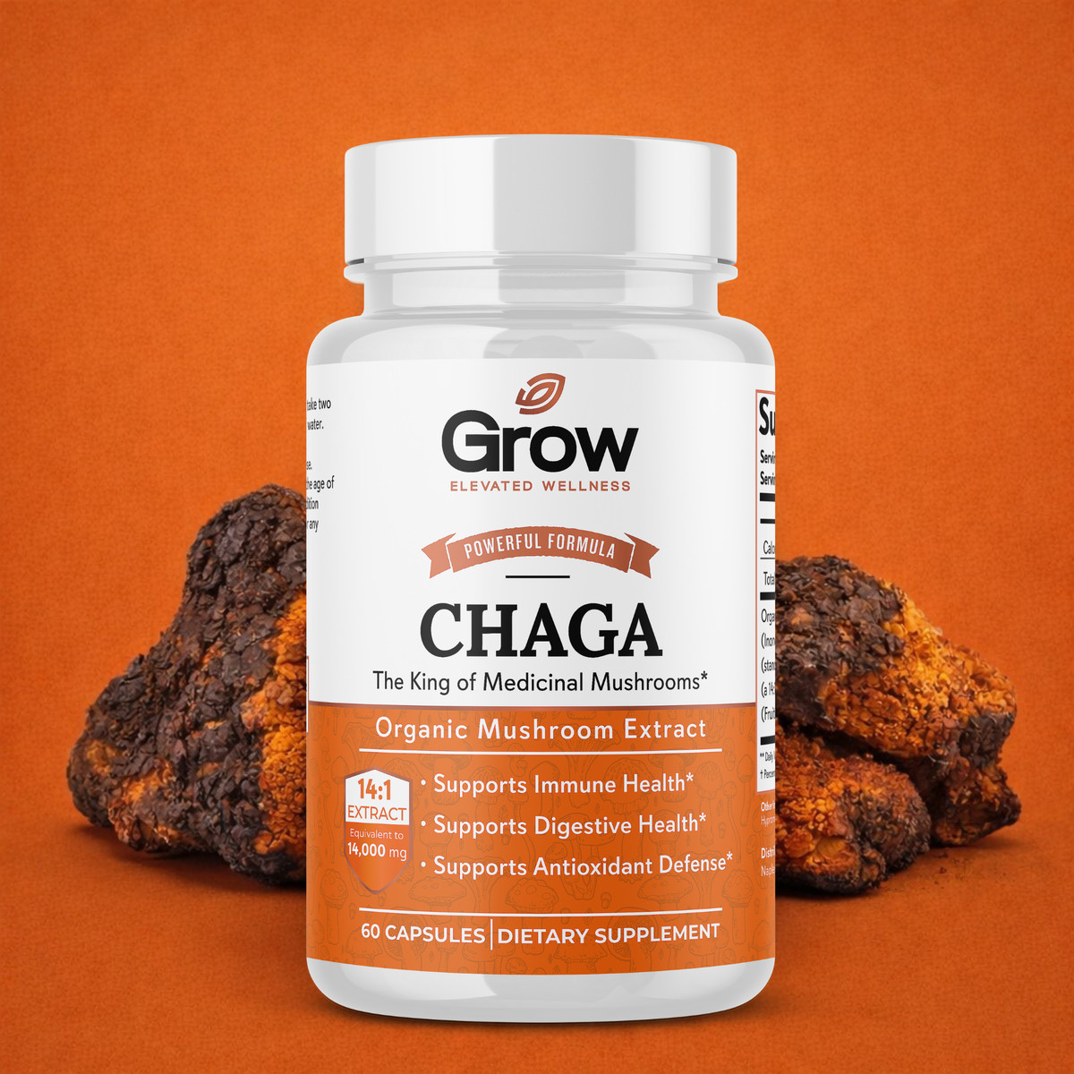 Chaga Mushrooms Capsules 14,000mg – Mushroom Extract Antioxidants Supplement