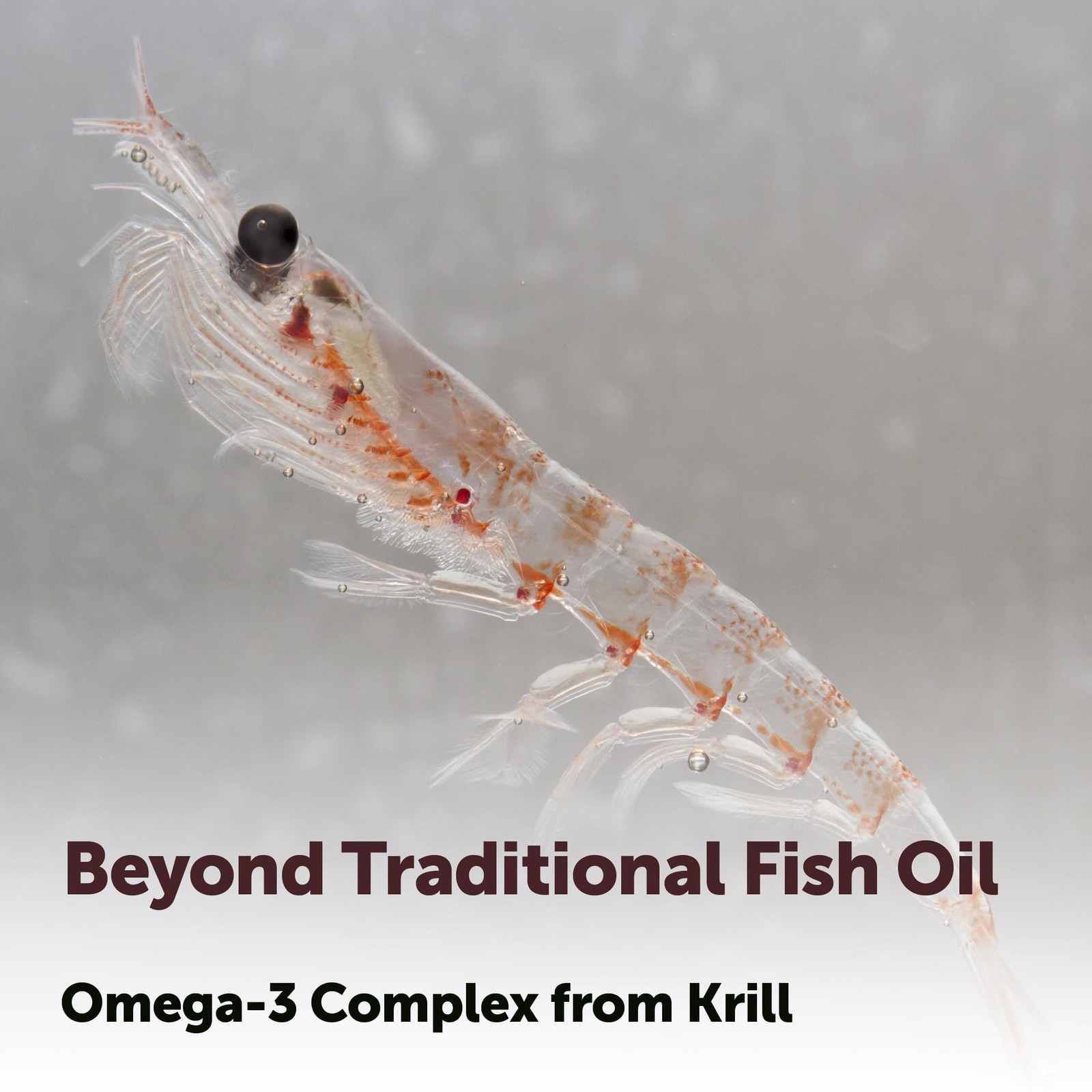 Micro Ingredients Antarctic Krill Oil Supplement 2,000mg Per Serving, 240 Sof…